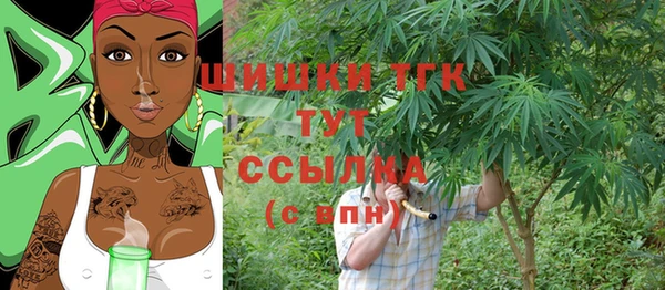 твердый Туринск