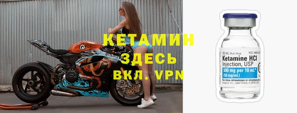 твердый Туринск