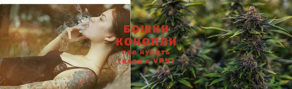 твердый Туринск