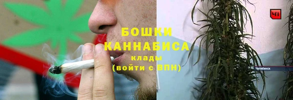 твердый Туринск