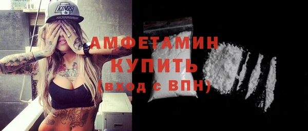 твердый Туринск