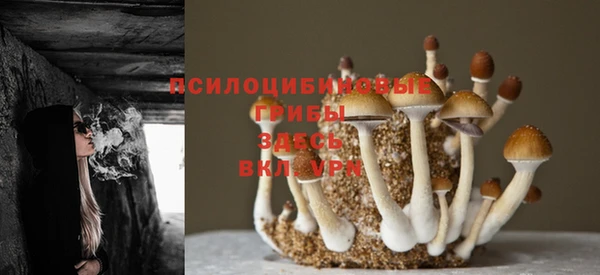 тгк Приозерск