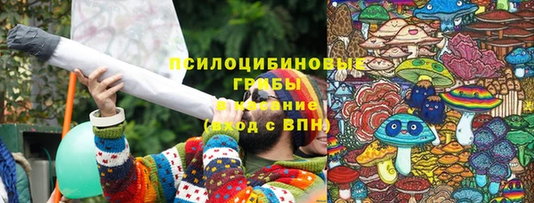 тгк Приозерск