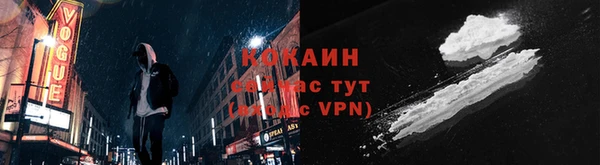 твердый Туринск