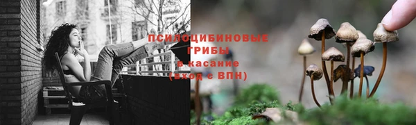 меф Тында
