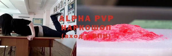 твердый Туринск
