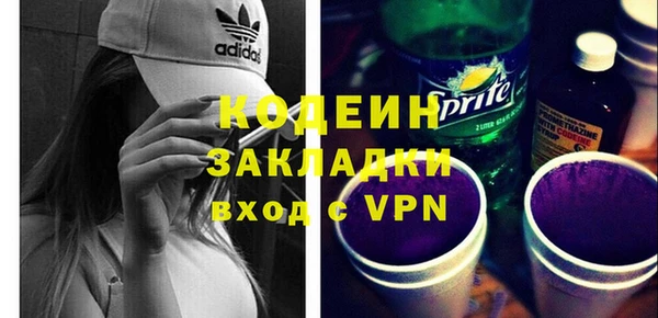 твердый Туринск