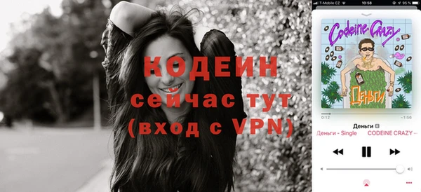 твердый Туринск