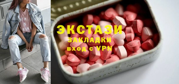 твердый Туринск