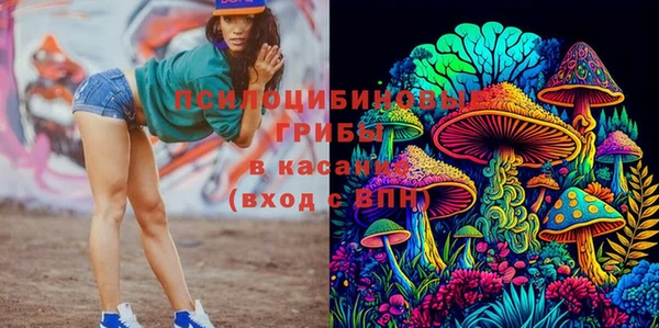 PSILOCYBIN Пролетарск