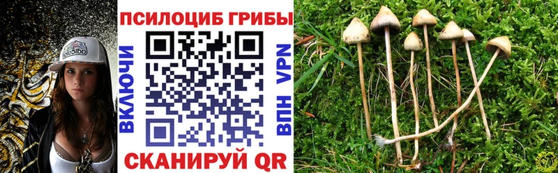 кракен онион  Алагир  Галлюциногенные грибы GOLDEN TEACHER  цены  