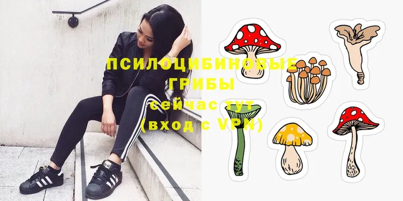 Псилоцибиновые грибы Magic Shrooms  Алагир 